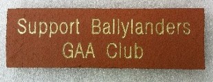 Buy a Brick and support our club!