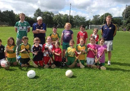 Ballylanders Bord Na Nog