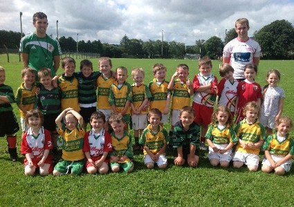 Ballylanders Bord Na Nog